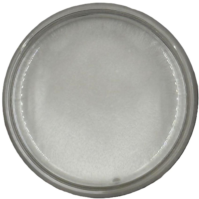 White Luster Color Satin White Luster Epoxy Pigment Paste - Resin Colour
