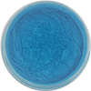 Atlantis - Luster Powder Pigment just-resin