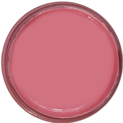 Carnation Pink - Basic Epoxy Paste