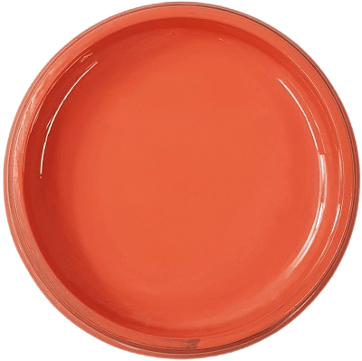Coral - Basic Epoxy Paste