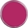 Deep Magenta - Basic Epoxy Paste just-resin