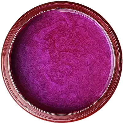 Fuchsia - Luster Epoxy Paste