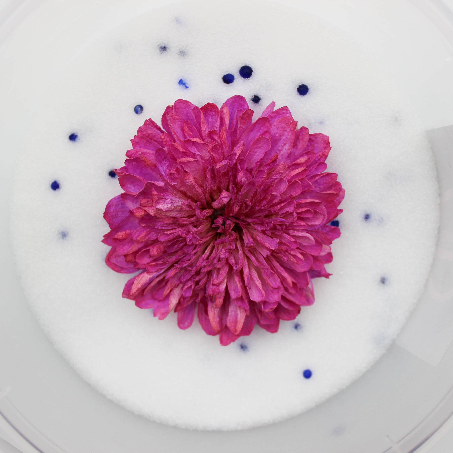 Flower Drying Crystals