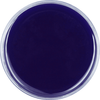 Phthalo Blue - Basic Epoxy Paste just-resin